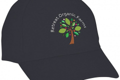 navy-cap